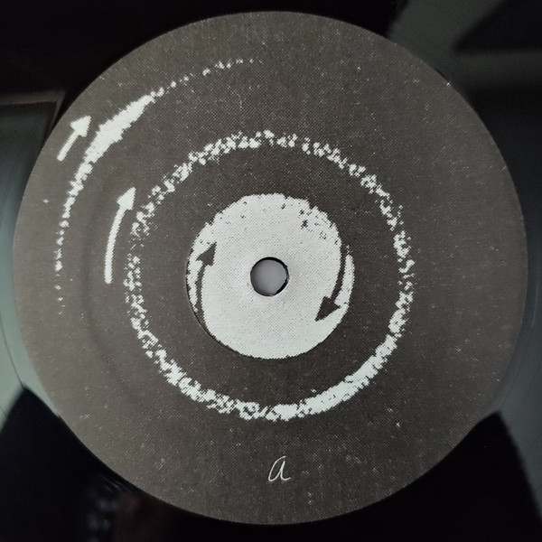Grouper - A I A : Alien Observer | Kranky (KRANK224) - 3 Grouper - A I A : Alien Observer | Kranky (KRANK224) - 3