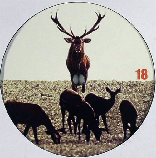 Jason Emsley - Backslappers Ball EP | Platzhirsch Schallplatten (PLATZHIRSCH 18) - 2