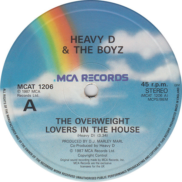 Heavy D. & The Boyz - The Overweight Lovers In The House | MCA Records (MCAT 1206)