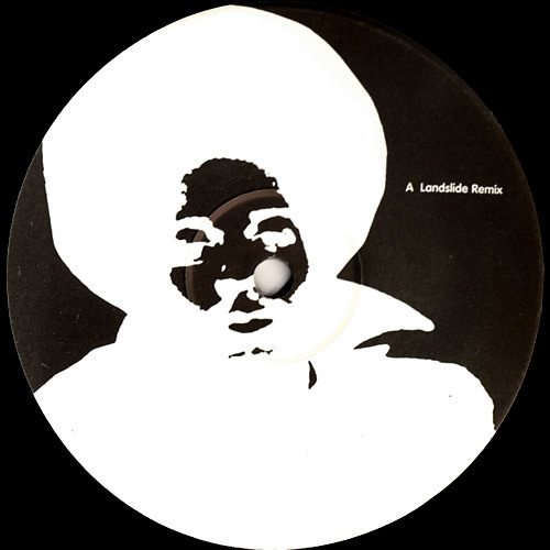 Kaidi Tatham Feat. Izzi Dunn - Betcha' Did (Landslide Remixes) | Bitasweet (BS 1212) - 3