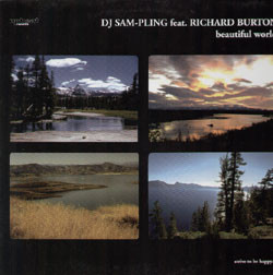 Sam-Pling Feat. Richard Burton - Beautiful World | Upbeat Records (UP 055) - main