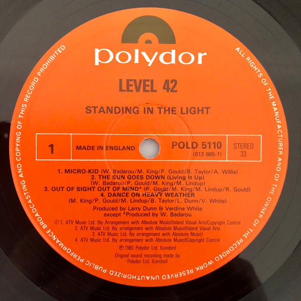 Standing In The Light