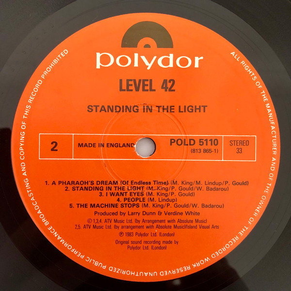 Standing In The Light