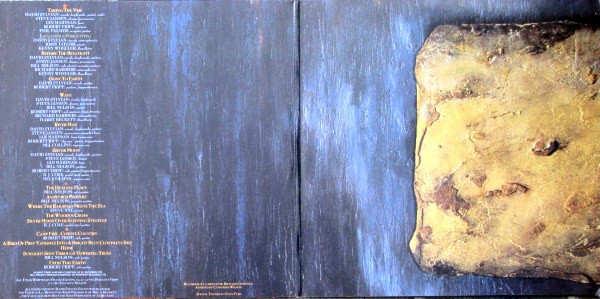David Sylvian - Gone To Earth (2LP) [Vinyl] | Virgin (VD2393) - 2