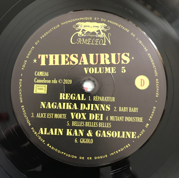 Thesaurus Volume 5  / 25 Titres Inédits 1978-1986  France Rock/Punk/Cold 