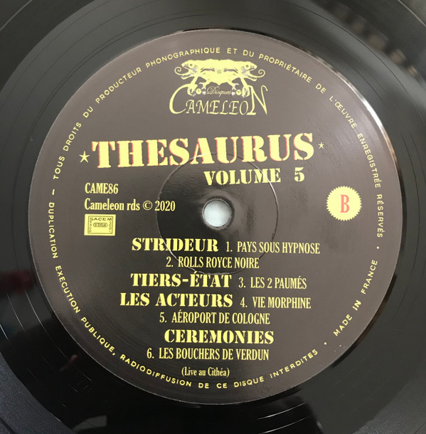 Thesaurus Volume 5  / 25 Titres Inédits 1978-1986  France Rock/Punk/Cold 