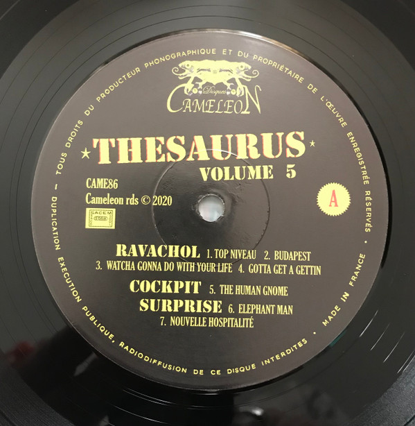 Thesaurus Volume 5  / 25 Titres Inédits 1978-1986  France Rock/Punk/Cold 