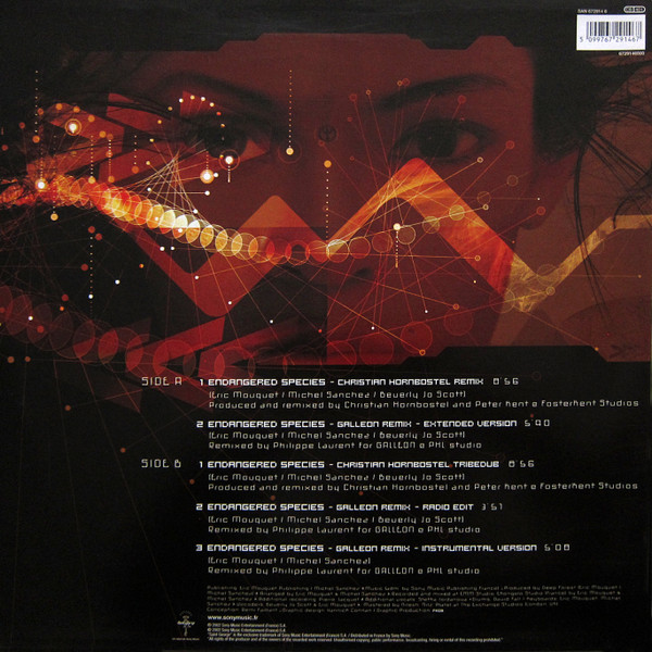 Deep Forest - Endangered Species (Remixes By Christian Hornbostel And Galleon) | Saint George (SAN 672914 6) - 2 Deep Forest - Endangered Species (Remixes By Christian Hornbostel And Galleon) | Saint George (SAN 672914 6) - 2