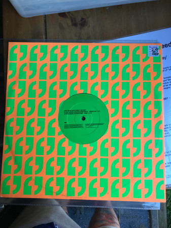 Lightning Seeds - What You Say | Epic (XPR3187) - 2 Lightning Seeds - What You Say | Epic (XPR3187) - 2