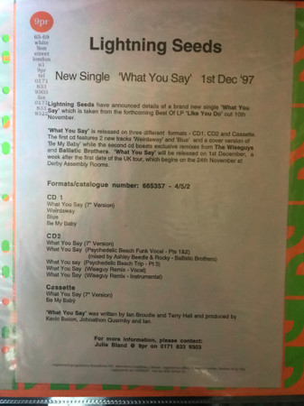 Lightning Seeds - What You Say | Epic (XPR3187) - 8 Lightning Seeds - What You Say | Epic (XPR3187) - 8
