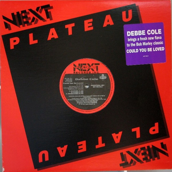 Debbe Cole - Could You Be Loved | Next Plateau Records Inc. (857 341-1DJ)