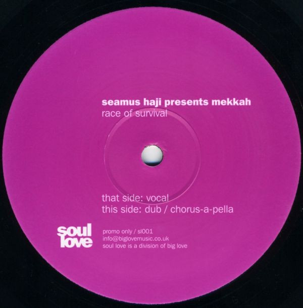 Seamus Haji  &  Mekkah - Race Of Survival | Soul Love (sl001)