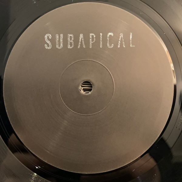 Junq - Binary Visions | Subapical (SUBAPICAL05) - 2