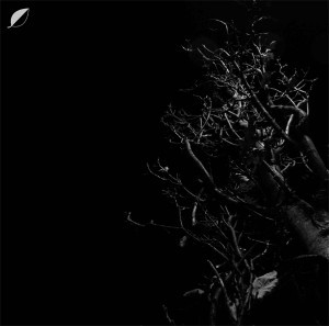 Christian Löffler - Heights | Ki Records (KI-001) - main Christian Löffler - Heights | Ki Records (KI-001) - main