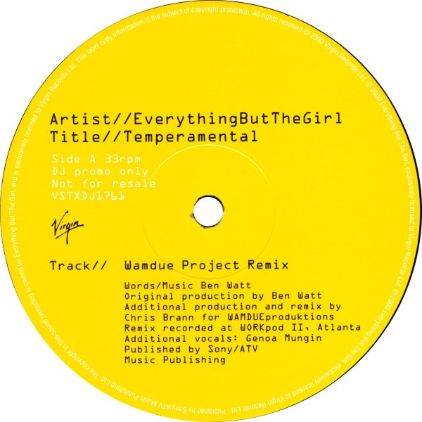 Everything But The Girl - Temperamental | Virgin (VSTXDJ1761) - 2
