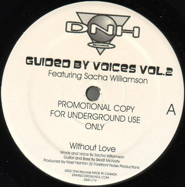 Noel Nanton Featuring Sacha Williamson - Guided By Voices Vol.2 | DNH Records (DNH-114)