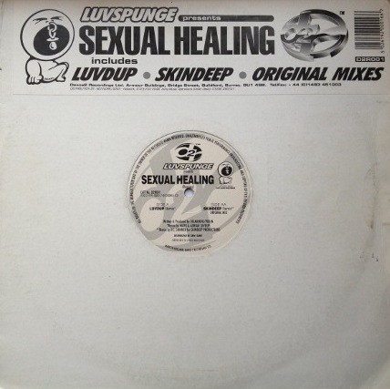 Luvspunge - Sexual Healing | Dance 2 Recordings (D2R001)