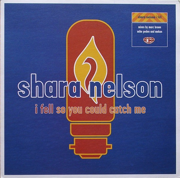 Shara Nelson - I Fell So You Could Catch Me | Chrysalis (12cooldj317) - main