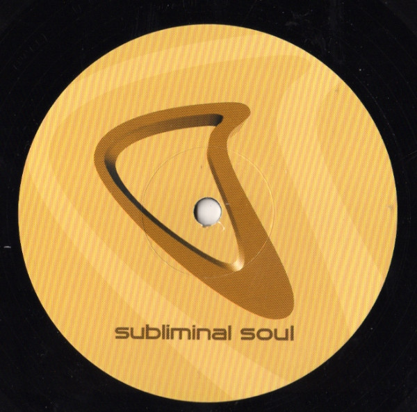 Todd Gardner Feat. Errol Lewis Greene - Back 2 Deep | Subliminal Soul (SSL 20) - 4
