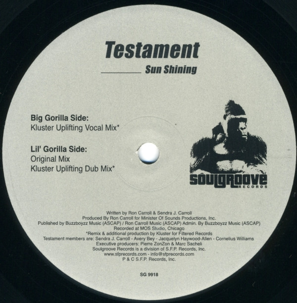 Testament - Sun Shining | Soulgroove Records (SG 9918) - 2 Testament - Sun Shining | Soulgroove Records (SG 9918) - 2
