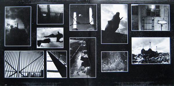 Animals