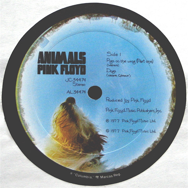 Animals