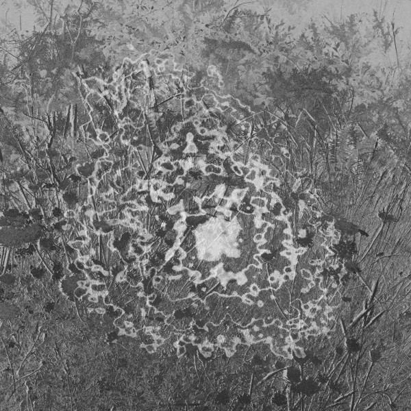 Malaizy - Burgercome/Stuck | Few Crackles (FC03) - main