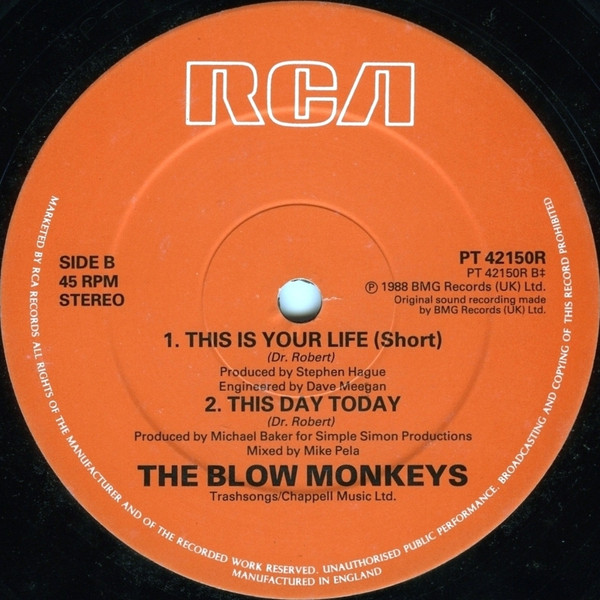 The Blow Monkeys - This Is Your House | RCA (PT 42150R) - 8