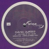 David Duriez - Tribe Of The Waves | Brique Rouge Traxx (BRT009) - main David Duriez - Tribe Of The Waves | Brique Rouge Traxx (BRT009) - main
