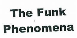 Armand Van Helden - The Funk Phenomena | Wicked Disco Diamonds (WDD058) - 2