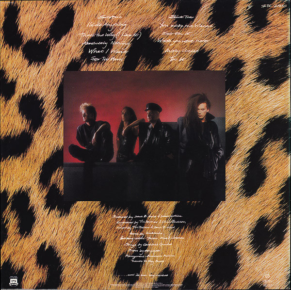 Dead Or Alive - Sophisticated Boom Boom | Epic (EPC 25835) - 2