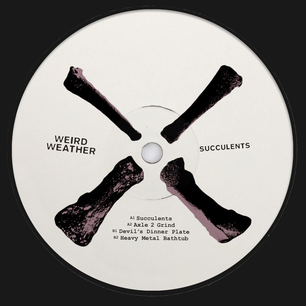 Weird Weather - Succulents | LASH00 (LASH02) - main