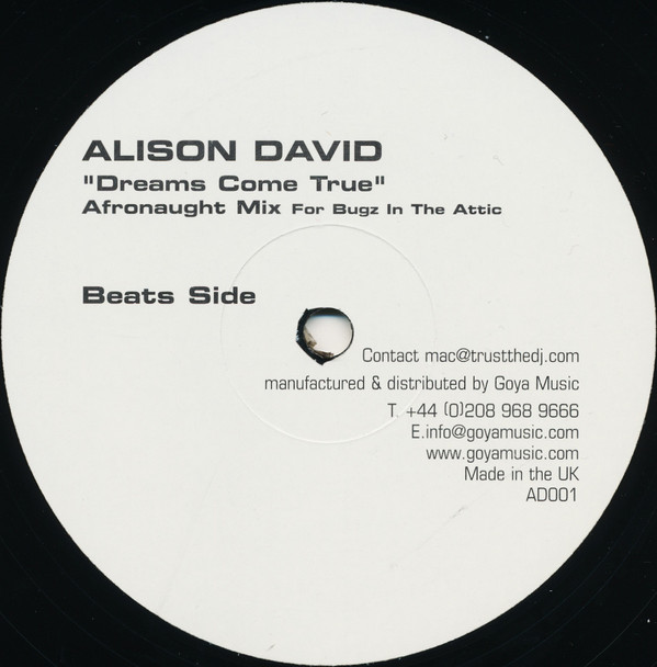 Alison David - Dreams Come True (Afronaught Mix) | Goya Music (AD001) - 2 Alison David - Dreams Come True (Afronaught Mix) | Goya Music (AD001) - 2