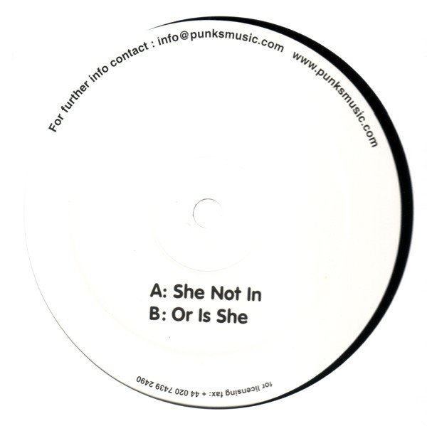 Stanton Warriors - She Not In | Punks (PUNKS 002) - 3
