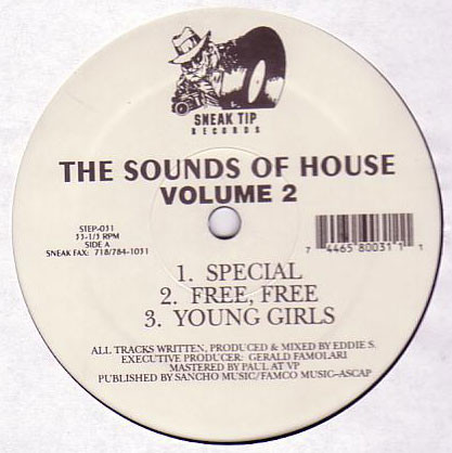 Eddie S. - The Sounds Of House Volume 2 | Sneak Tip Records (STEP-031) - 2 Eddie S. - The Sounds Of House Volume 2 | Sneak Tip Records (STEP-031) - 2