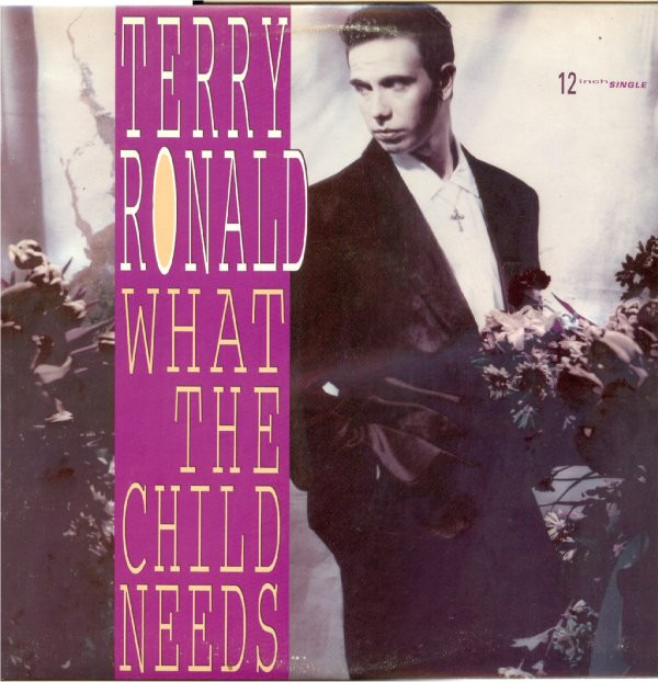 Terry Ronald - What The Child Needs | MCA Records (MCA12 54289)
