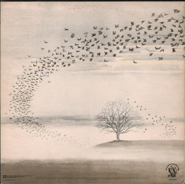 Wind & Wuthering
