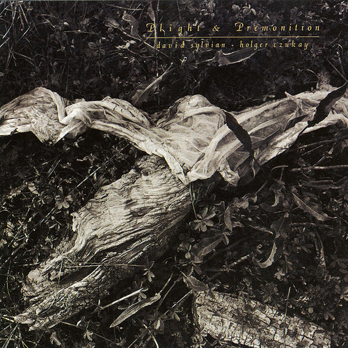 David Sylvian + Holger Czukay - Plight & Premonition | Venture (VE11) - main