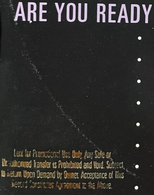 Morris Day - Are You Ready | Warner Bros. Records (0-21118) - 5