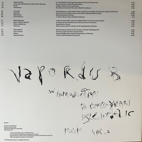 Vapordub: An Introduction To Contemporary Psychedelic Music - Vol. 1