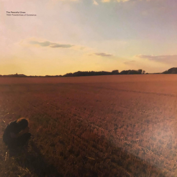 The Peaceful Ones - 7000 Possibilities Of Existence | Spirit Wrestlers (SPW004LP) - main
