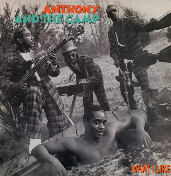 Anthony And The Camp - What I Like | Warner Bros. Records (0-20449)