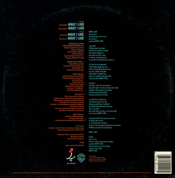 Anthony And The Camp - What I Like | Warner Bros. Records (0-20449) - 2