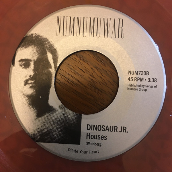 Elyse Weinberg  &  Dinosaur Jr. - Houses | Numnumuwar (NUM720) - 2