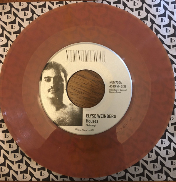 Elyse Weinberg  &  Dinosaur Jr. - Houses | Numnumuwar (NUM720) - 3
