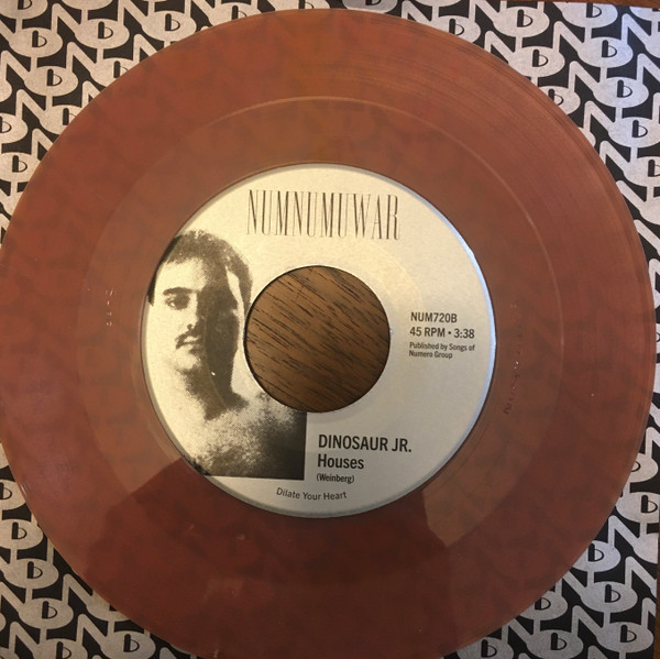 Elyse Weinberg  &  Dinosaur Jr. - Houses | Numnumuwar (NUM720) - 4