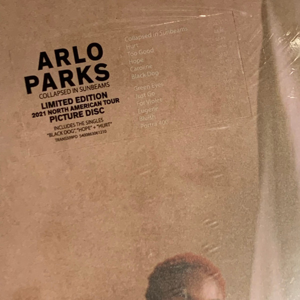 Arlo Parks - Collapsed In Sunbeams | Transgressive Records (TRANS509X) - 4