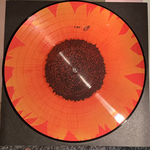 Arlo Parks - Collapsed In Sunbeams | Transgressive Records (TRANS509X) - 3