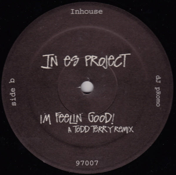 In Es Project - I'm Feelin' Good! | In House Records (97007) - 2