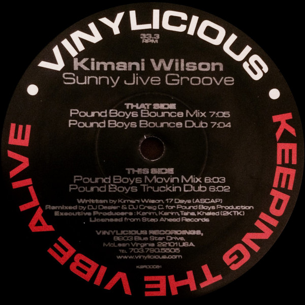 Kimani Wilson - Sunny Jive Groove | Vinylicious Recordings (K2R00051)